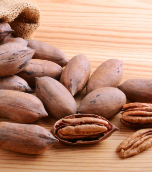 Elliot Pecan Tree