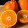 Minneola Tangelo Tree