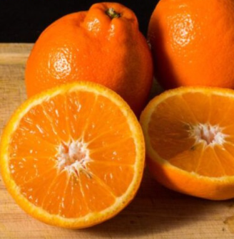 Minneola Tangelo Tree