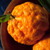 Gold Nugget Mandarin Tree