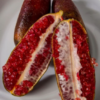 Screenshot 2026-05-30 175901 Red Finger Lime (Australian Finger Lime, Caviar Lime)