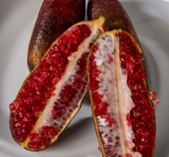 Screenshot 2026-05-30 175901 Red Finger Lime (Australian Finger Lime, Caviar Lime)