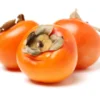 American Persimmon Tree