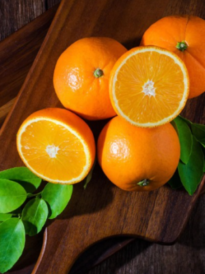 Hamlin Sweet Orange Tree