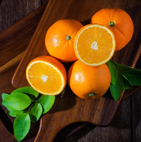 Hamlin Sweet Orange Tree