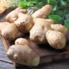 Ginger Plant Organic