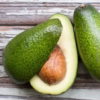 Zutano Avocado Tree