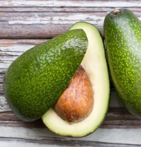 Zutano Avocado Tree