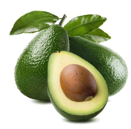 Zutano Avocado Tree