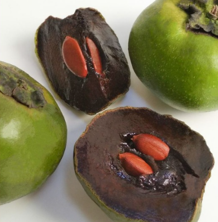 Black Sapote