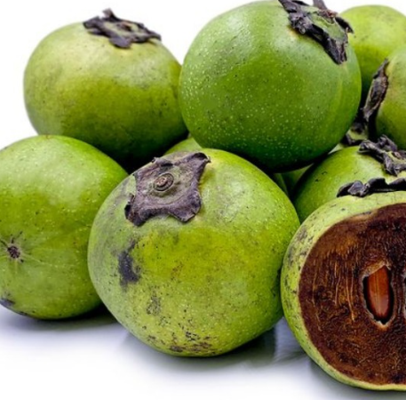 Black Sapote